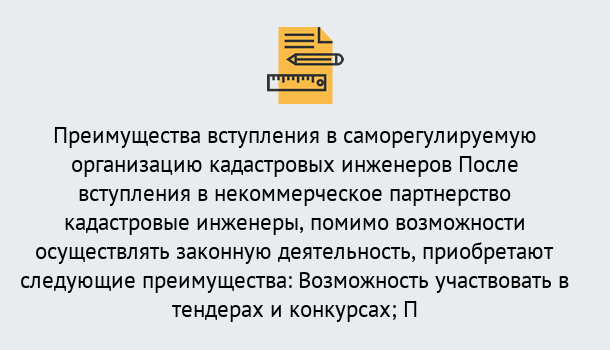 Почему нужно обратиться к нам? Нововоронеж Что дает допуск СРО кадастровых инженеров?