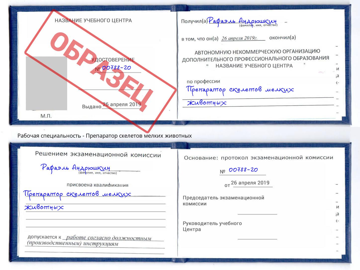 Препаратор скелетов мелких животных Нововоронеж