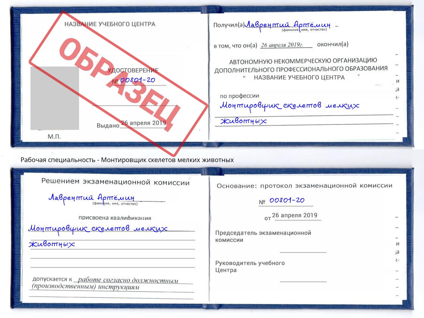 Монтировщик скелетов мелких животных Нововоронеж