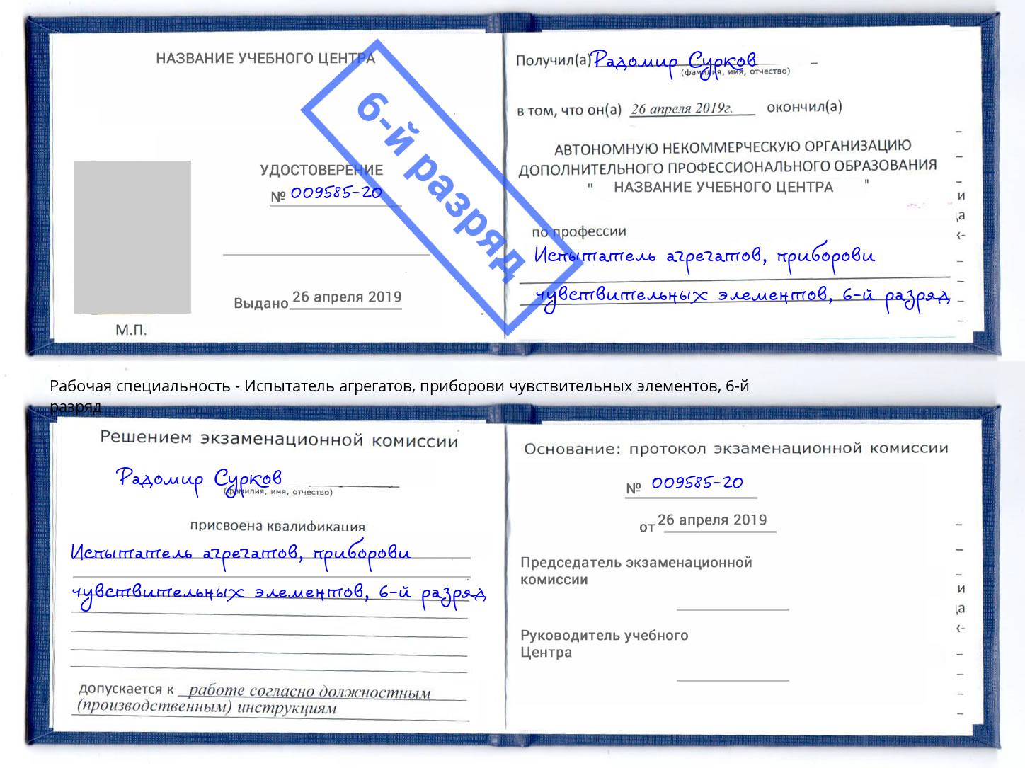 корочка 6-й разряд Испытатель агрегатов, приборови чувствительных элементов Нововоронеж