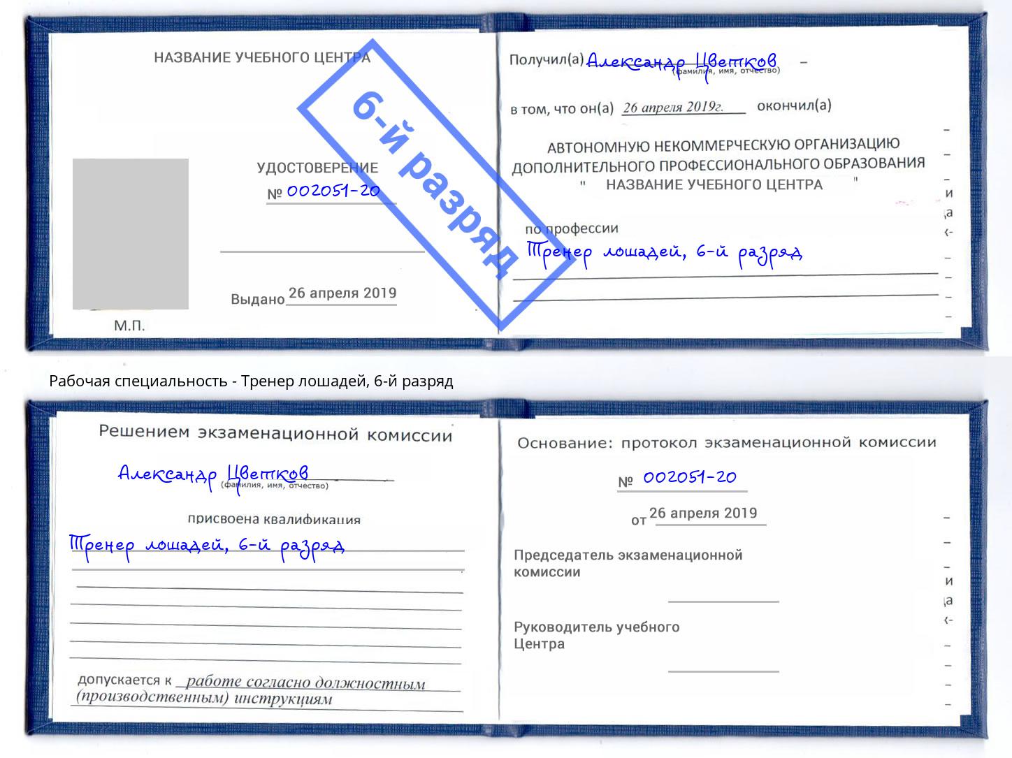 корочка 6-й разряд Тренер лошадей Нововоронеж