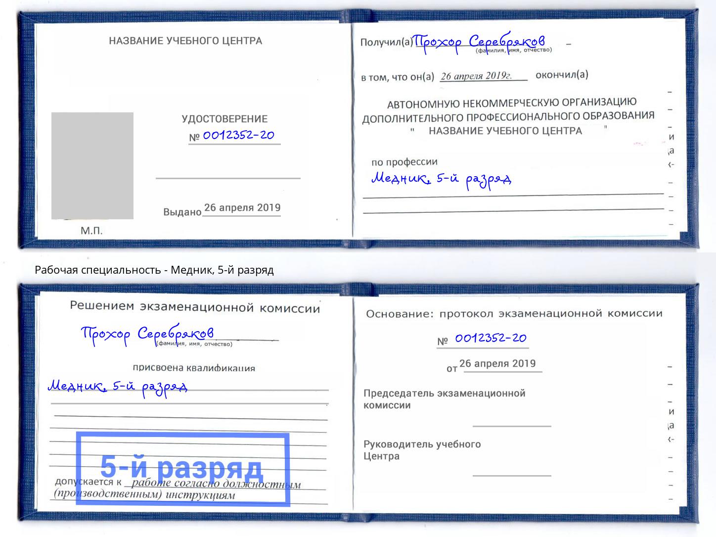корочка 5-й разряд Медник Нововоронеж