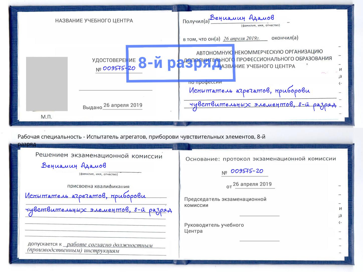 корочка 8-й разряд Испытатель агрегатов, приборови чувствительных элементов Нововоронеж